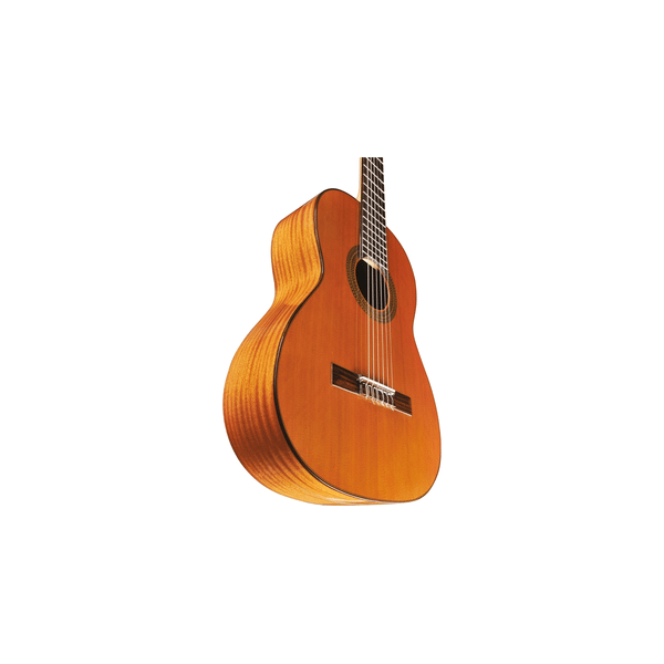 Eko Guitars EKO CHITARRA Vibra 300 Natural