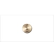 ico 2