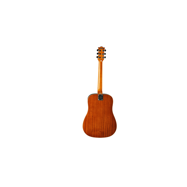 Eko Guitars Ranger VI VR Eq Natural Top Stained