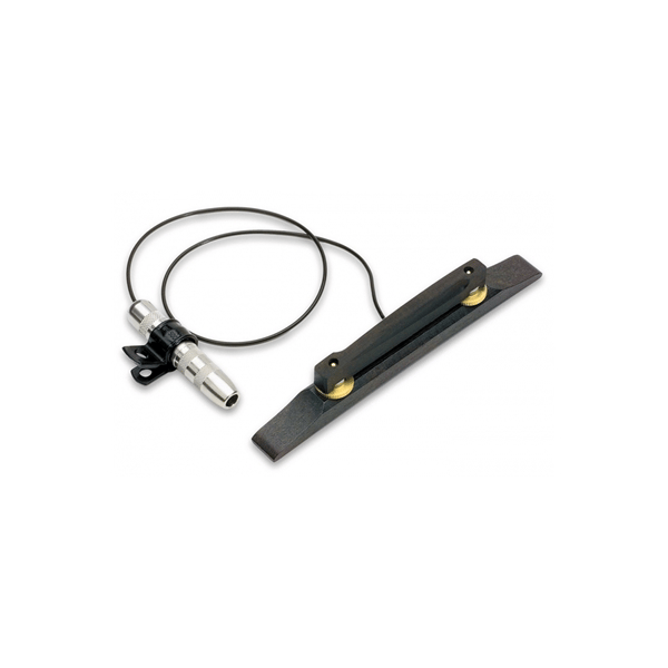 Fishman Archtop Pickup Chitarra