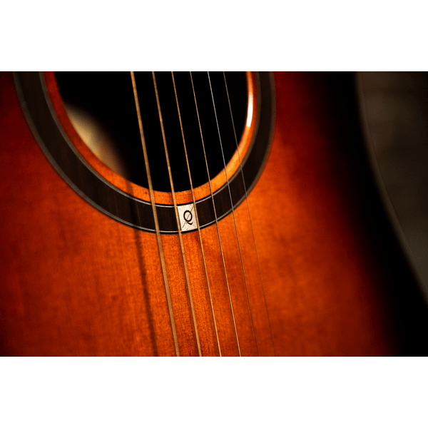 OQAN QGA-100CE SBG (PREAMP)