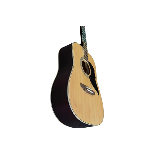 Eko Guitars Ranger Nat Visual Note