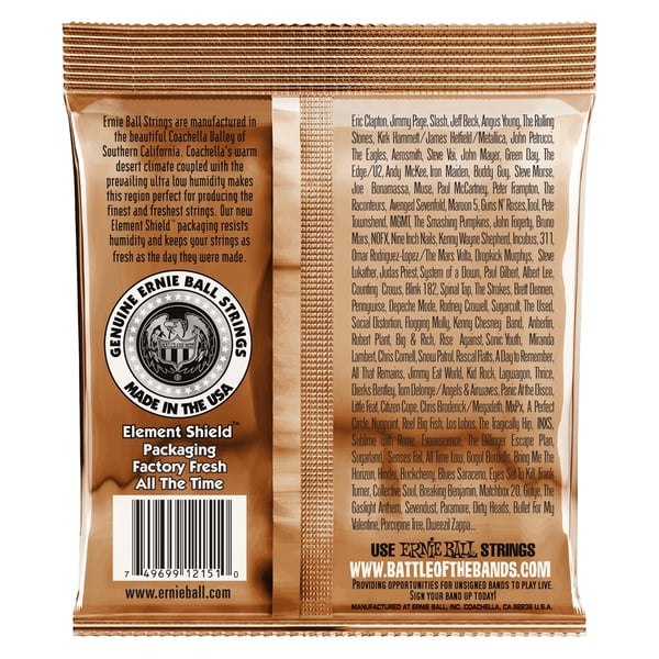 Ernie Ball 2151 Earthwood Rock & Blues con SOL Liscio Phosphor Bronze