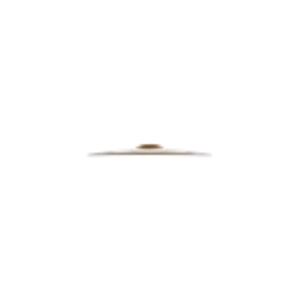 Zildjian S20TC-20" S Thin Crash