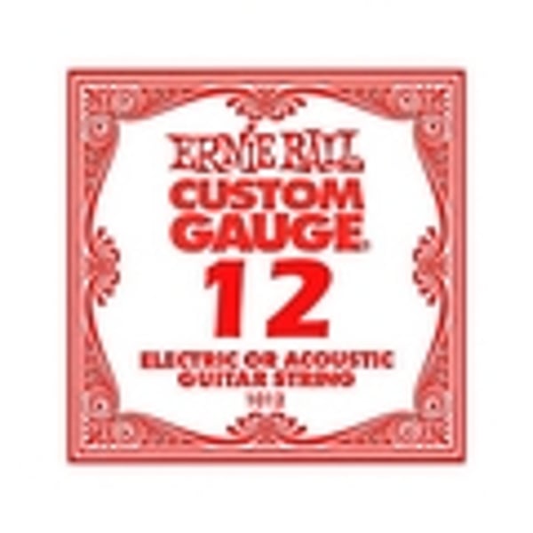 ERNIE BALL .012 Plain Steel - 6 packs