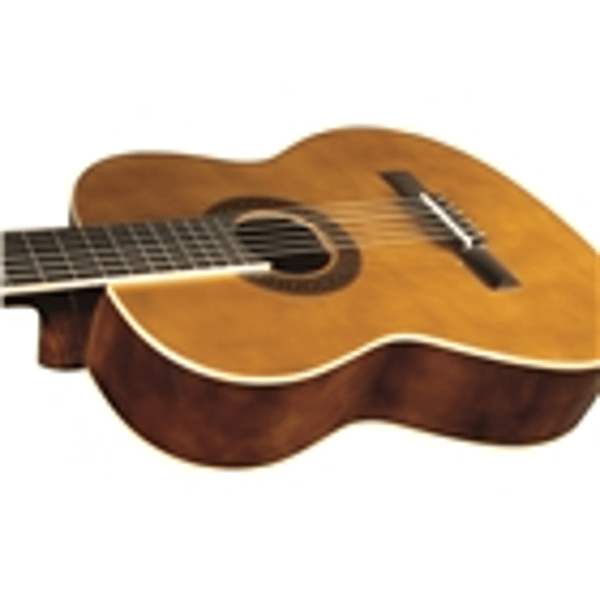 Eko Guitars CS-10 Natural