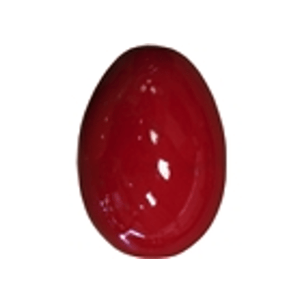 Tanga SHAK-11-ROUGE Shaker in plastica a forma di Uovo - Rosso