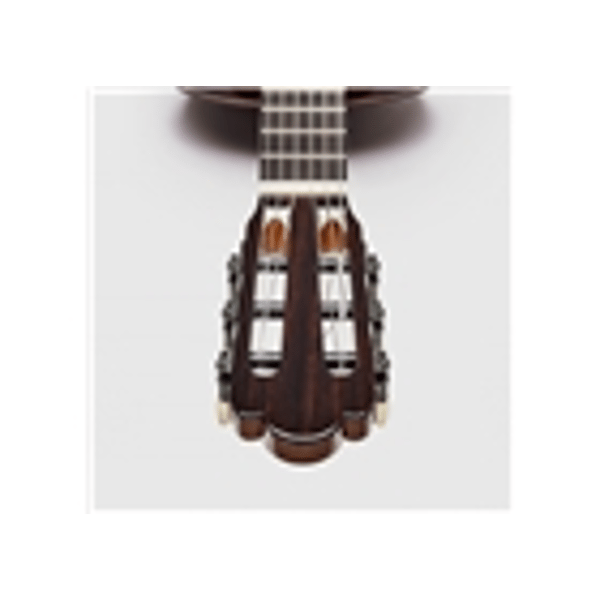 Esteve Torres Chitarra Classica