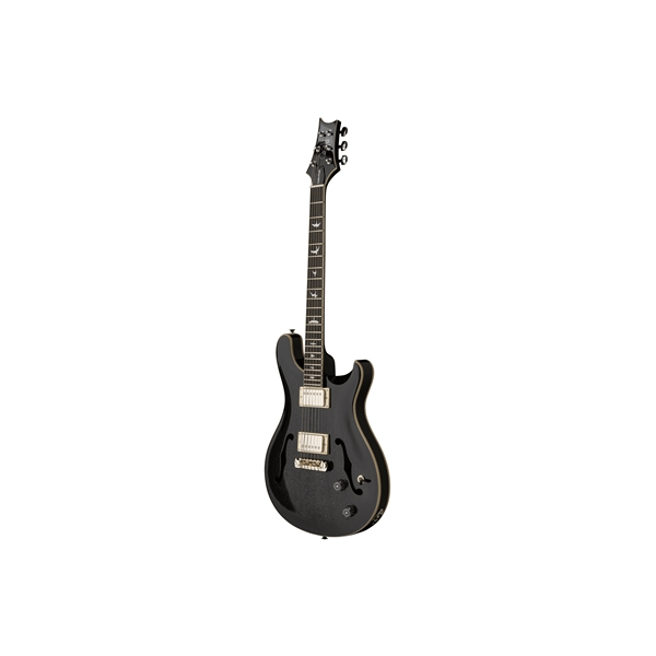 PRS SE Hollowbody Standard Dog Hair Smokeburst