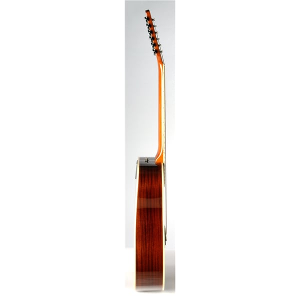 Eko Guitars Ranger XII VR Natural Top Stained