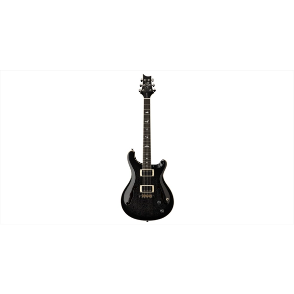 PRS SE Hollowbody Standard Dog Hair Smokeburst