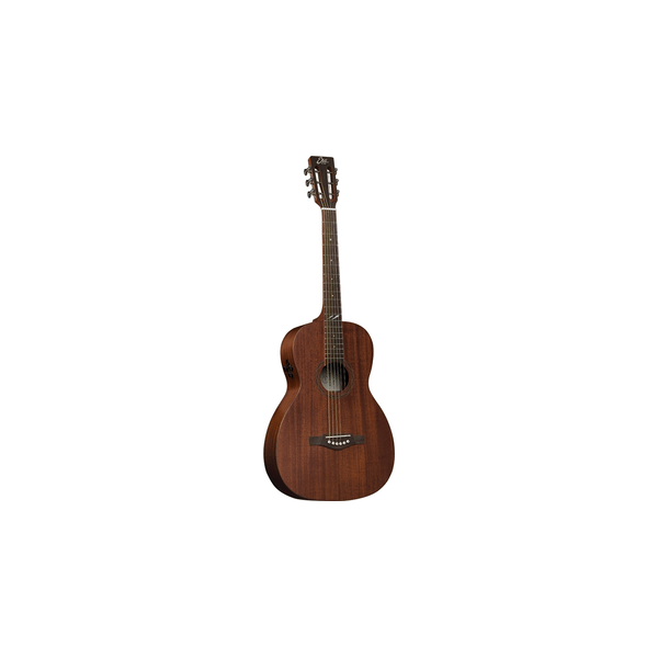 Eko Guitars Duo P200e