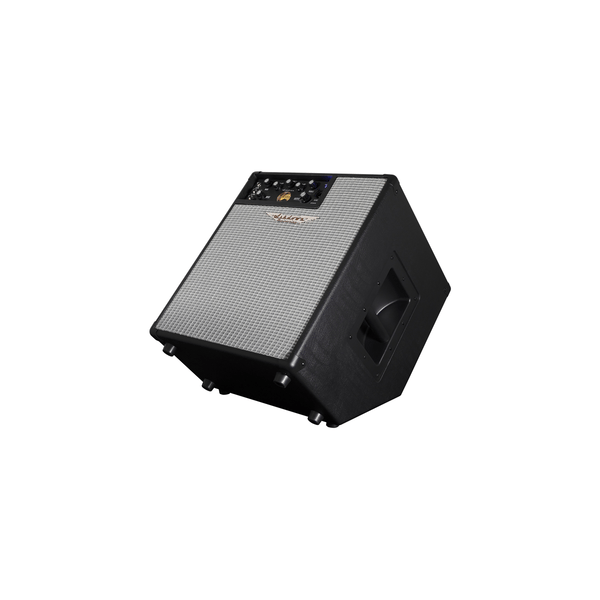 Ashdown ORIGINAL EVO C112-300
