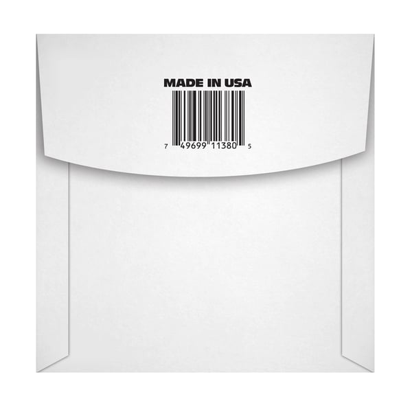 Ernie Ball 1380 Stainless Steel Wound Bass .080