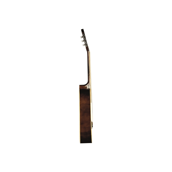 Eko Guitars CS-10 Natural