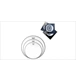 ico 2