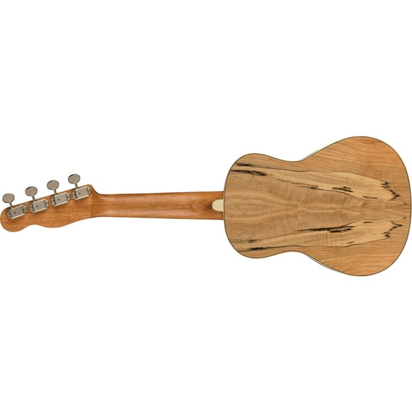 FENDER Ukulele Concert Strumenti popolari Acero marezzato Natural