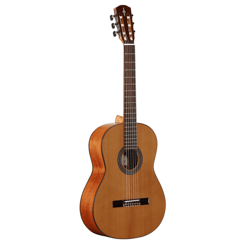 ALVAREZ GUIT ACUST AC65 ARTIST