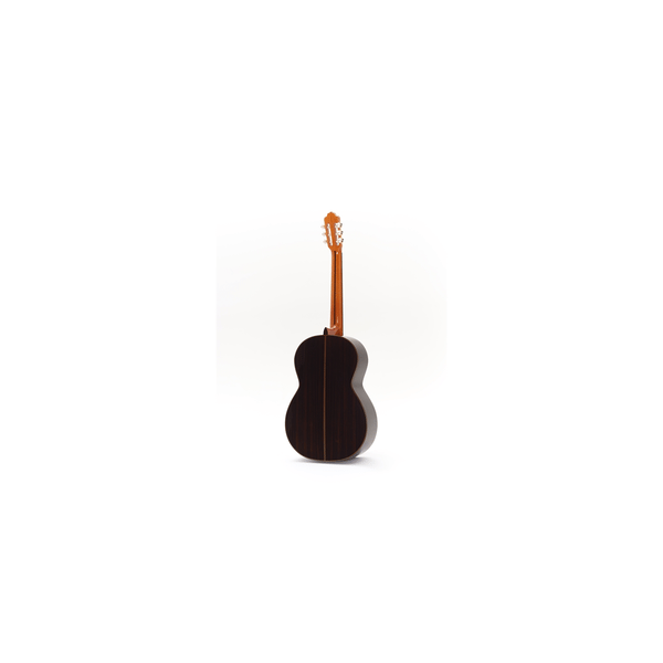 Esteve Octave Bass 6 Chitarra Contrabbasso