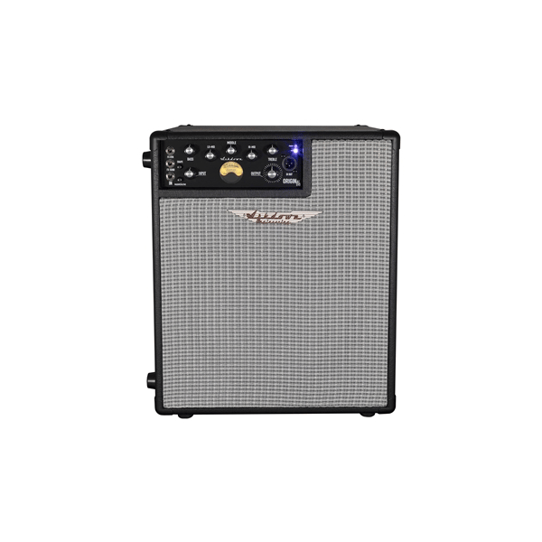 Ashdown ORIGINAL EVO C112-300