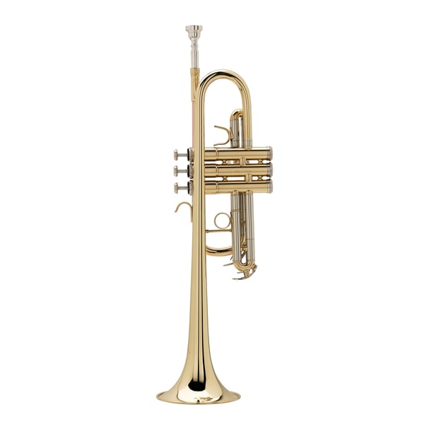 SOUNDSATION Tromba in Do con finitura laccata oro