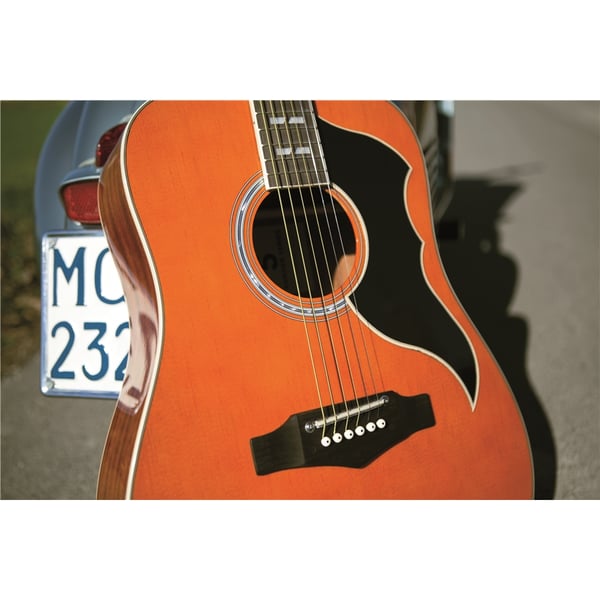Eko Guitars Ranger VI VR Natural Top Stained