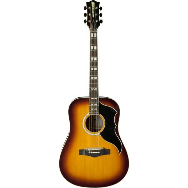 Eko Guitars Ranger VI VR Eq Honey burst