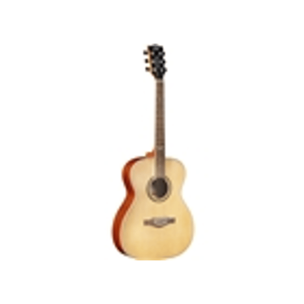 Eko Guitars NXT A100 Natural