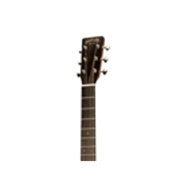 Martin & Co. D-X2EL Billy Strings Left