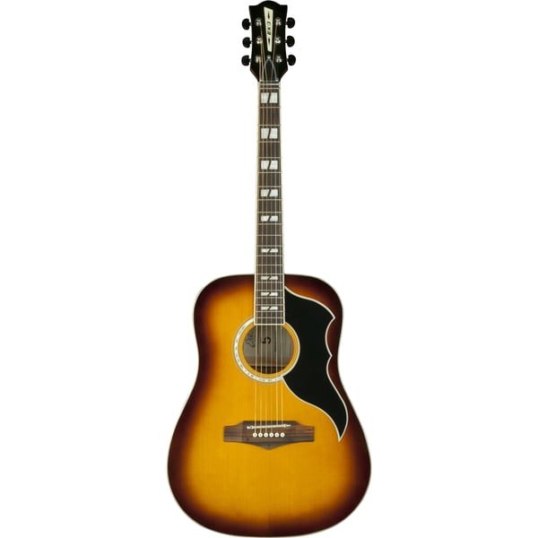 Eko Guitars Ranger VI VR Honey burst