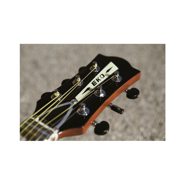 Eko Guitars Ranger VI VR Natural Top Stained