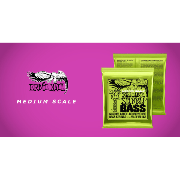 Ernie Ball 2856 Regular Slinky Nickel Wound Medium Scale