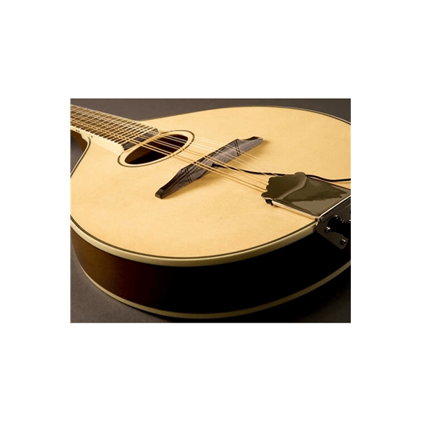 Fishman Nashville Flat-Top M-400 Mandolin Pickup (PRO-M40-0MA)