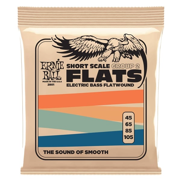 Ernie Ball 2801 Short Scale Flat Gr 2 Ele Bass 4