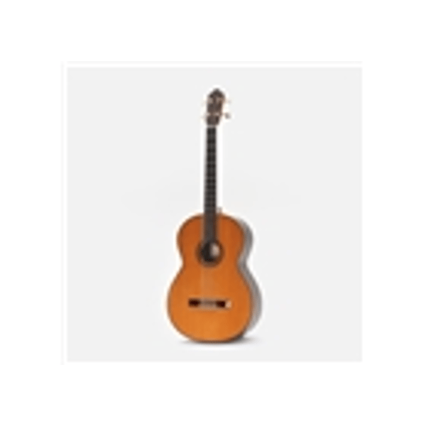 Esteve Octave Bass 4 Chitarra Contrabbasso