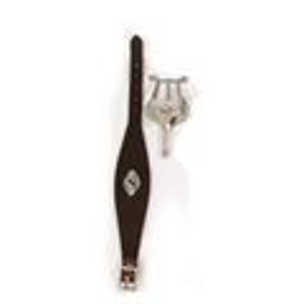 AMERICAN PLATING Lira per Flauto traverso