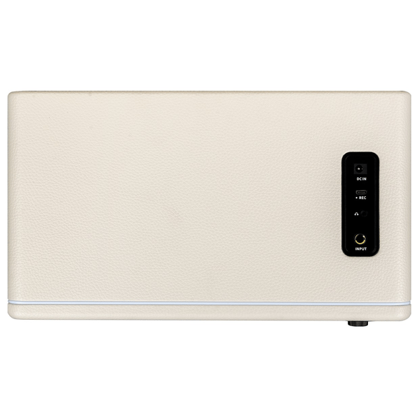 MOOER HORNET 30I WHITE