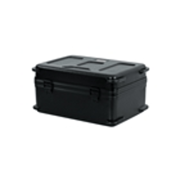 Gator Cases GTSA-MIC30 Custodia TSA ATA 30 Microfoni