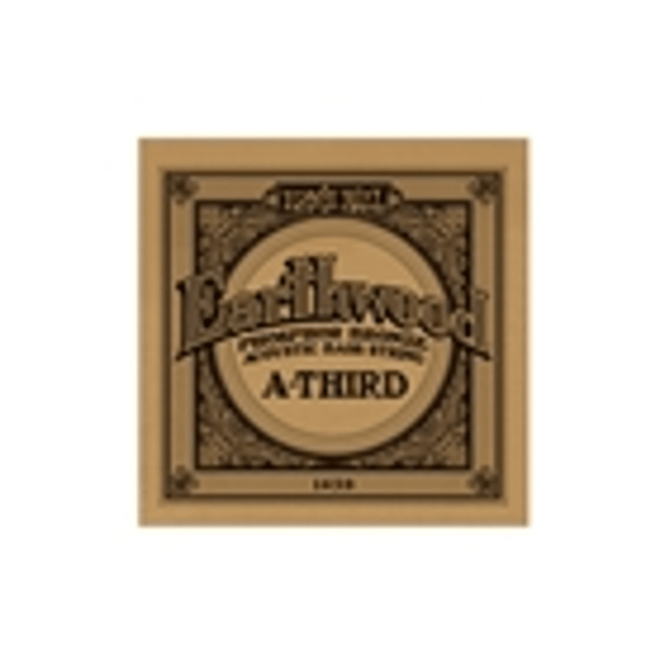 Ernie Ball 1459 Earthwood Phosphor Bronze Wound Bass .080