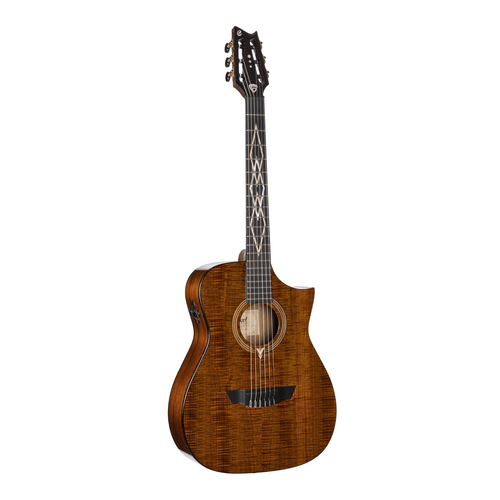 CORT FRANK GAMBALE LUXE NYLON BR W/CASE