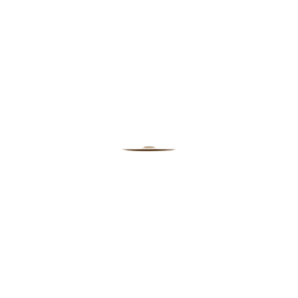 Zildjian A0612-12" FX China Trash