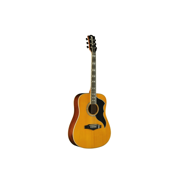 Eko Guitars Ranger VI VR Eq Natural Top Stained