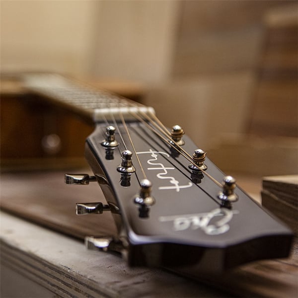 Eko Guitars Ranger Futura