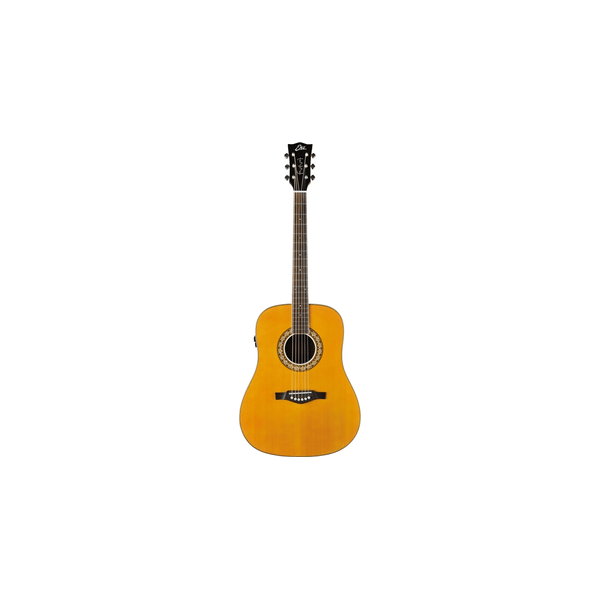 Eko Guitars Ranger Futura