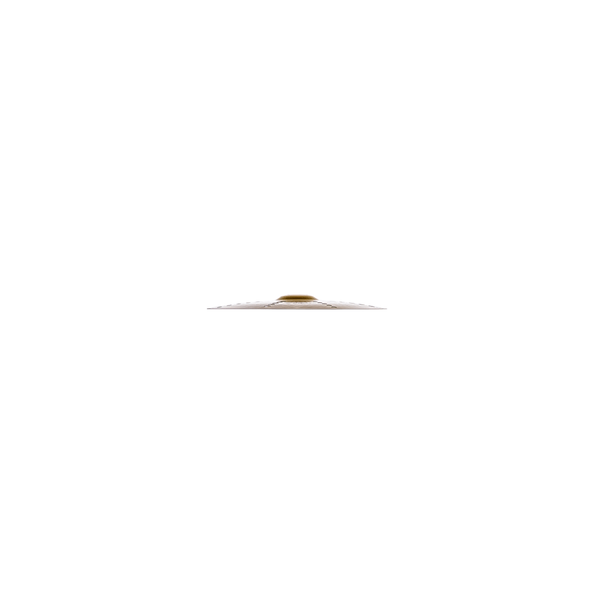 Zildjian S18TCR-18" S Trash Crash