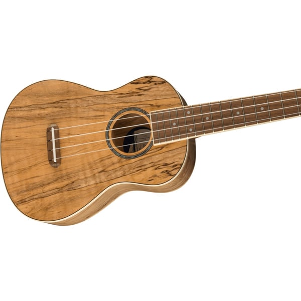 FENDER Ukulele Concert Strumenti popolari Acero marezzato Natural