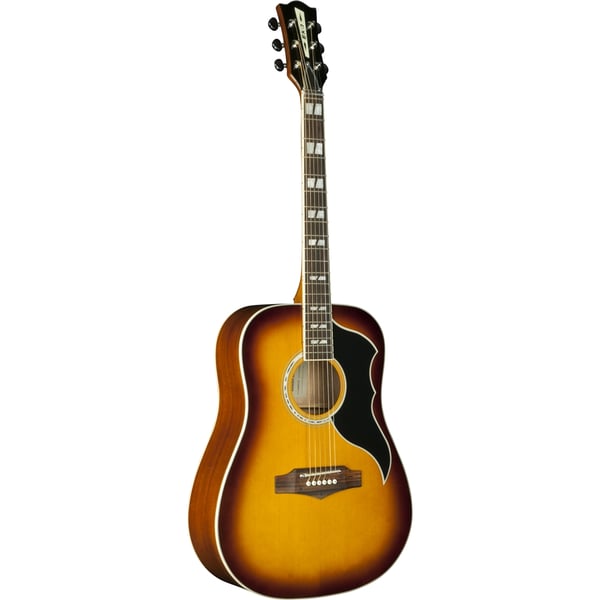 Eko Guitars Ranger VI VR Honey burst