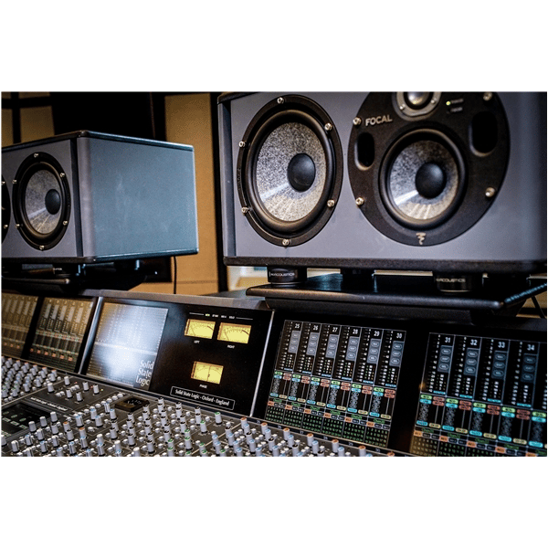 IsoAcoustics ISO-Puck