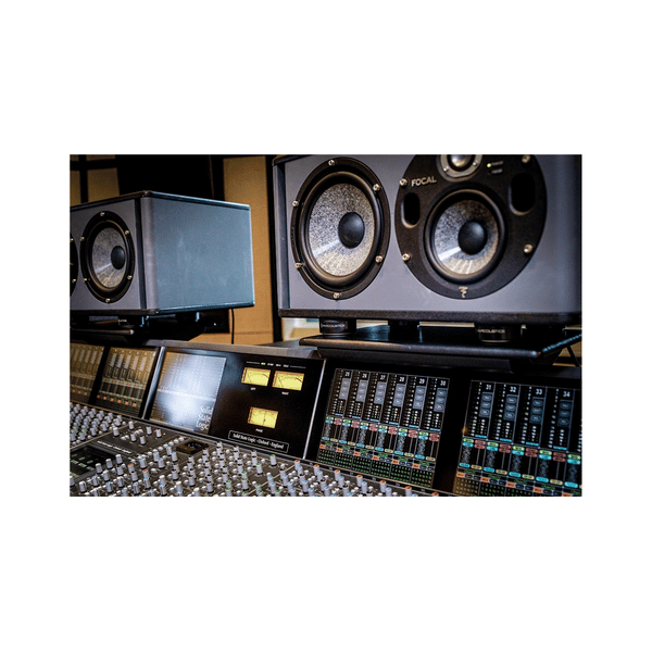 IsoAcoustics ISO-Puck