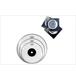 ico 3